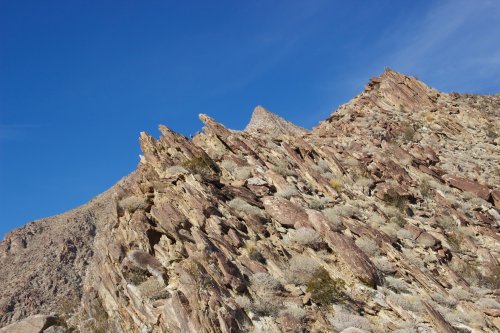 IMG_1419